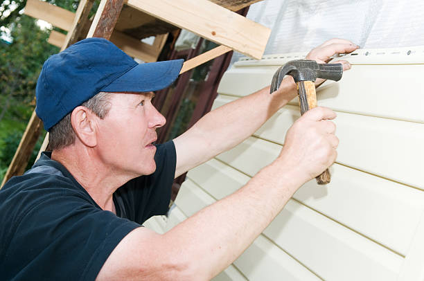 Best Siding Repair  in Superior, AZ